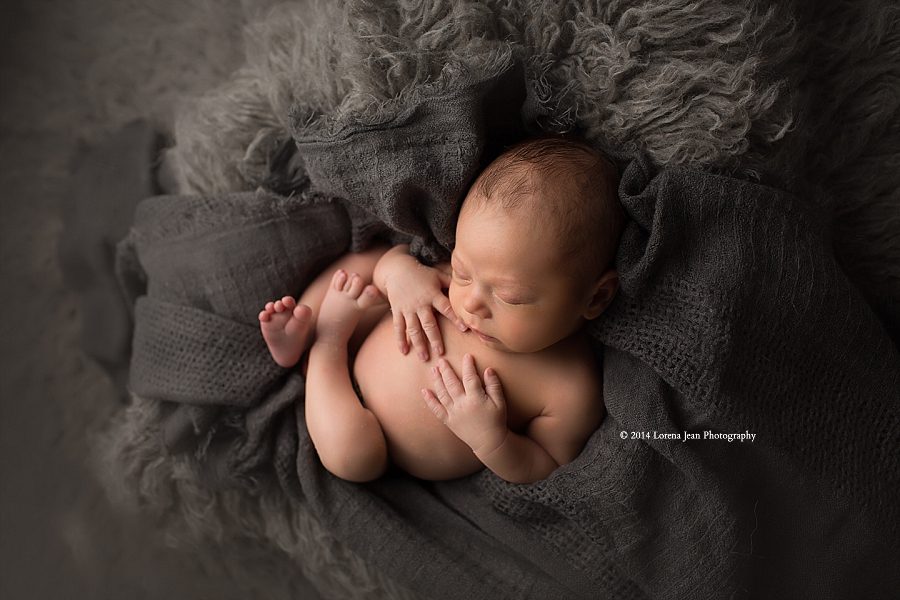 newborn photographer houston