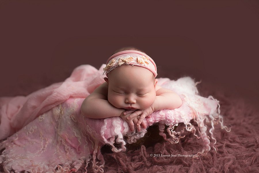 newborn photography in katy