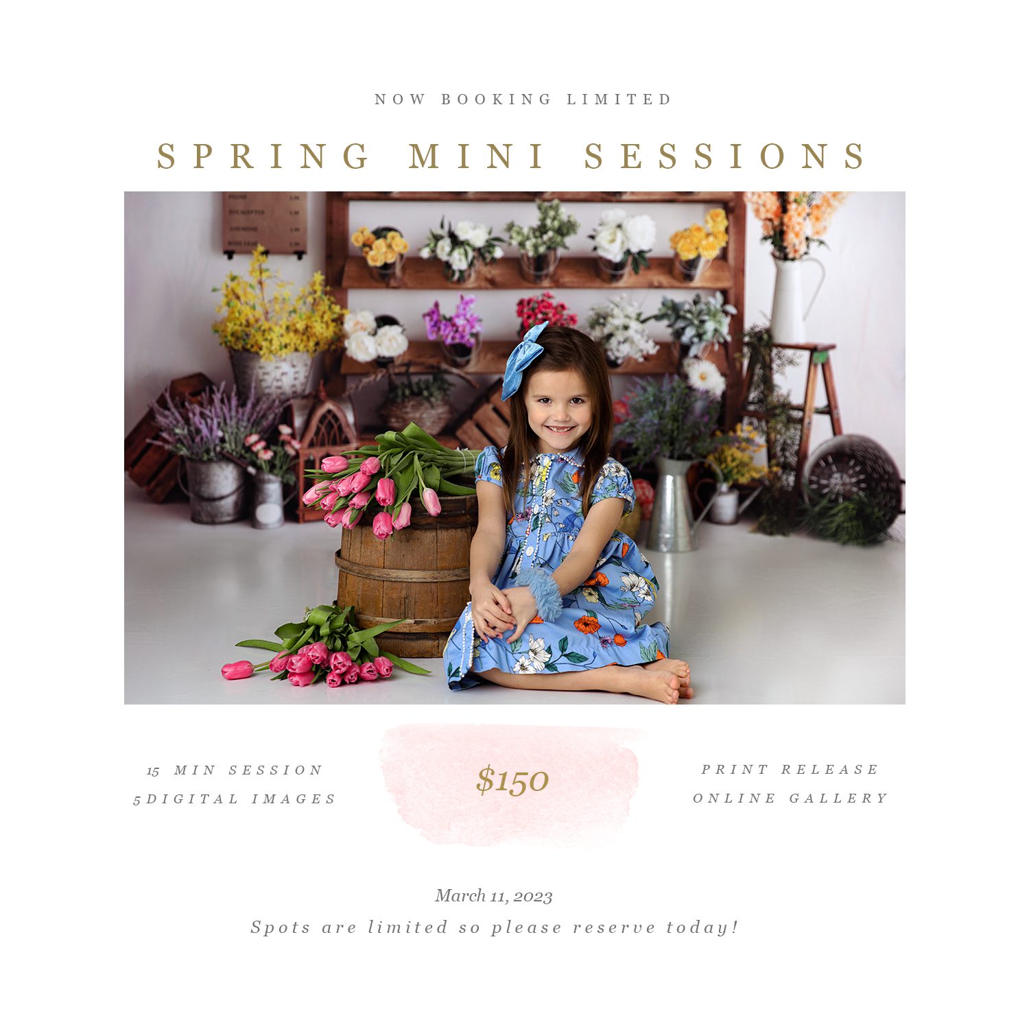 booking page for spring mini sessions in fulshear